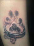 Paw print