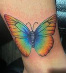 Rainbow butterfly