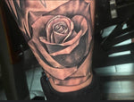 Rose tattoo