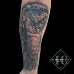 Parrot Forearm Tattoo In Black And Gray <p>Loro En Ante Brazo Tatuaje En Negro Y Gris </p>