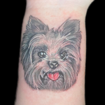 Yorkie tattoo portrait